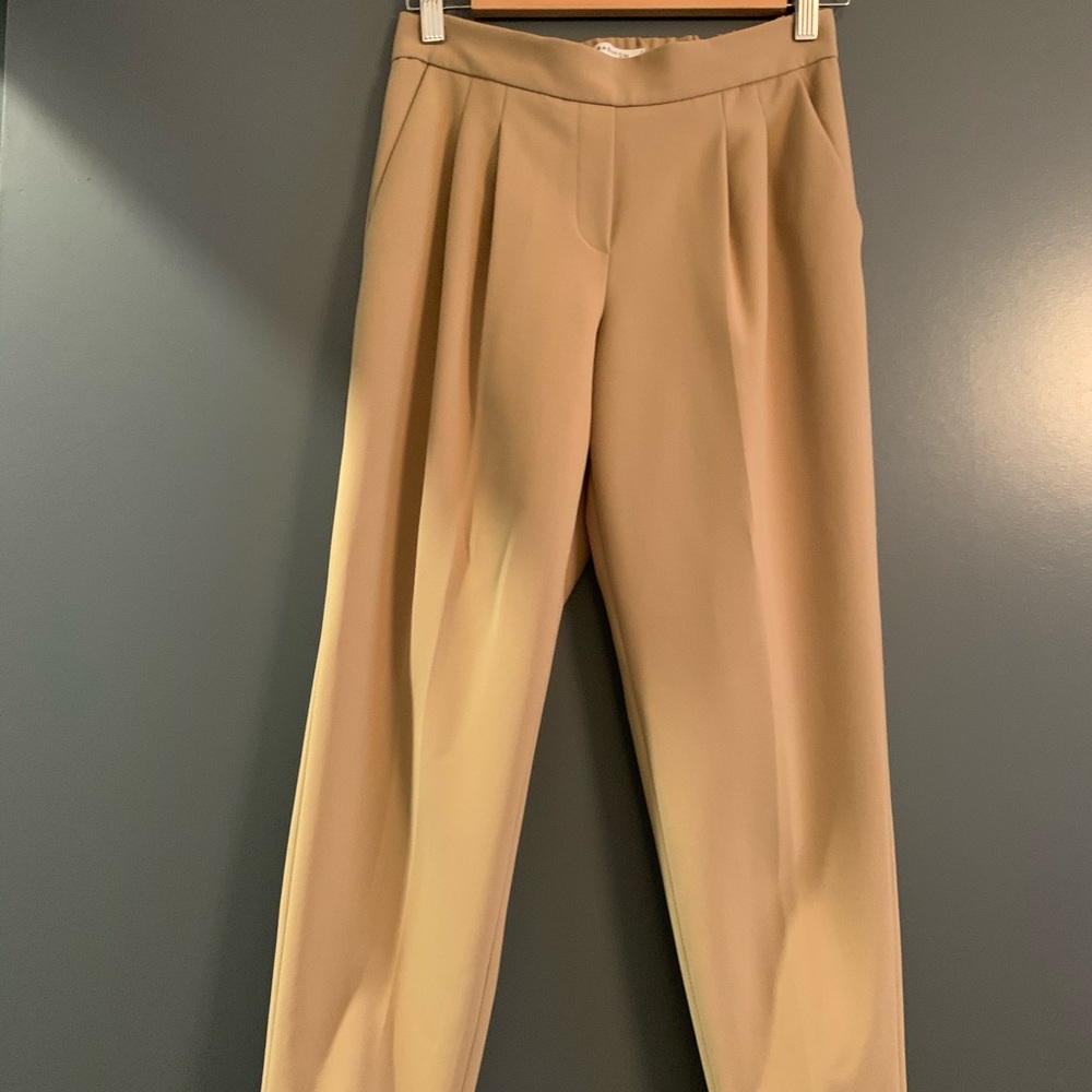 Aritzia/Babaton Conan pant